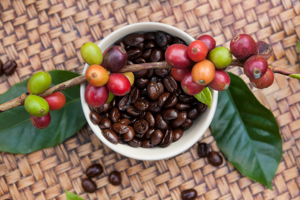 Can you eat coffee beans?  Raw, Roasted, or Chocolate Covered
