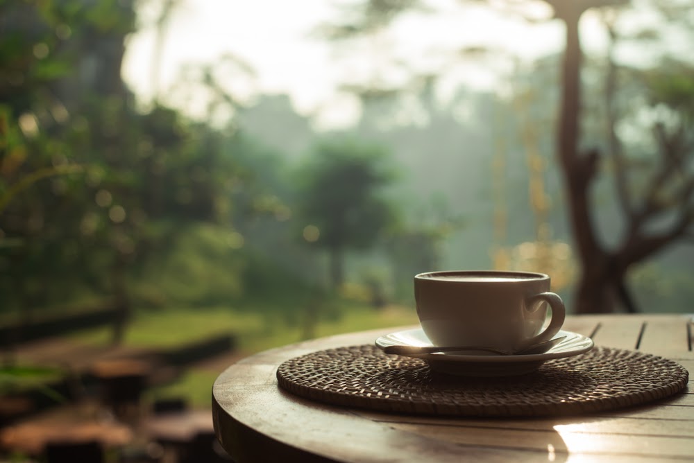 Natural Process Vs. Washed Process Coffee