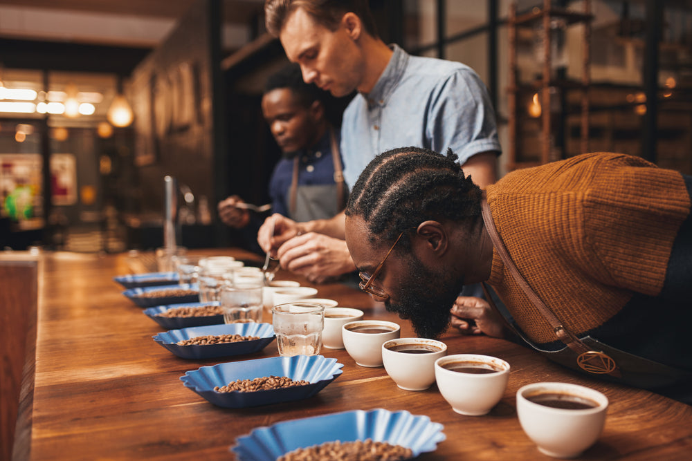 Love Coffee? A Guide to Becoming a Coffee Connoisseur